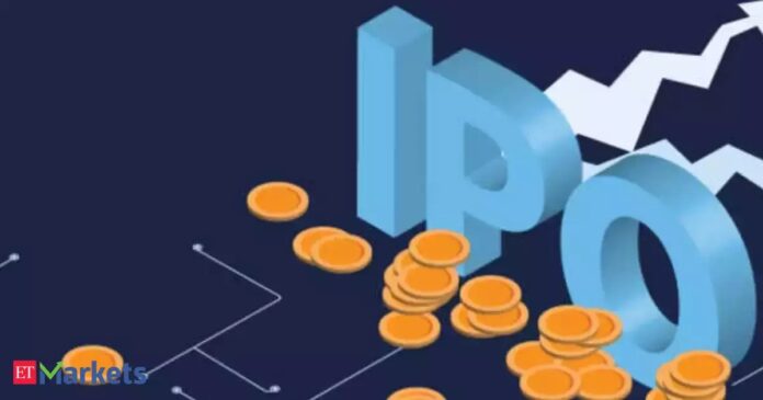 The Biggest Indian IPO Yet: Could 2025 Be the Year of Record-Breaking Listings?