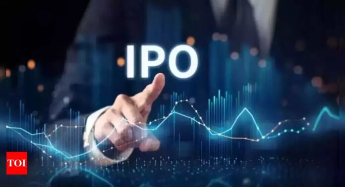 India Inc Raises a Record ₹1.6 Lakh Crore Through IPOs in 2024