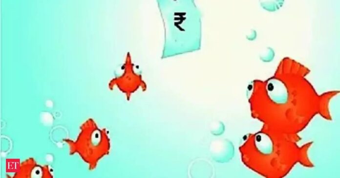 Is the Surge in Indian IPOs Concealing an Impending Financial Crisis for Smaller Companies?