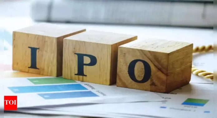 More than a Dozen Companies Prepare for IPOs in the Next 3 to 6 Months