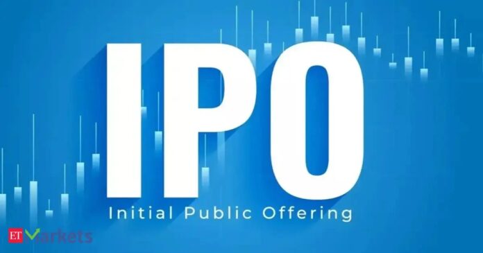 Travel Food Services IPO: Should Investors Consider It a Risky Investment?